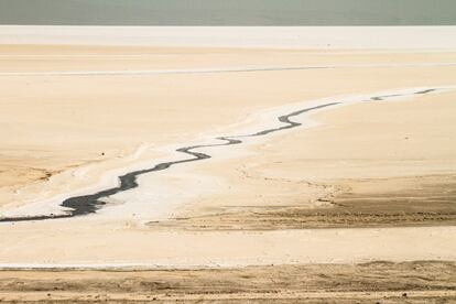 Población, Gobierno y expertos contraponen sus hipótesis y posibles soluciones. Finos hilos de agua escapan de las presas, parecen negarse a dejar morir el lago.