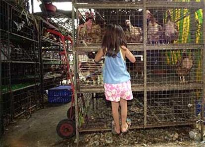 En la imagen, un mercado de pollos en la ciudad de Bangkok.