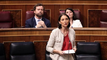 La ministra de Industria, Comercio y Turismo, Reyes Maroto, interviene en el pleno celebrado en el Congreso de los Diputados, este miércoles.