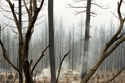 Uno de los efectos de la gran sequía que sufre California ha sido el incendio ocurrido en Valle de Fuego.