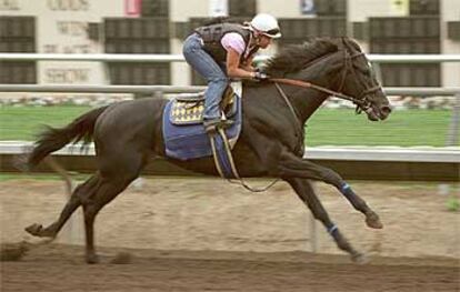 <i>War Emblem,</i> durante un entrenamiento para una carrera celebrada en agosto de 2002.