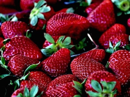 Hay vida más allá de las fresas con yogur o con nata