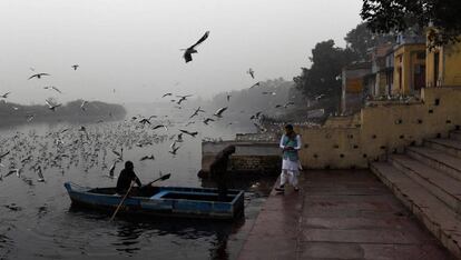 Un indio se prepara para abordar un bote y alimentar a las gaviotas en el río Yamuna en Nueva Delhi (India).