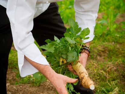 Farmers' Markets, el productor y el consumidor cara a cara