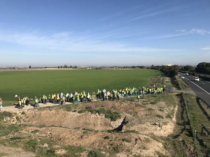 En Andalucía ha habido movilizaciones en todas las provincias excepto en Huelva.