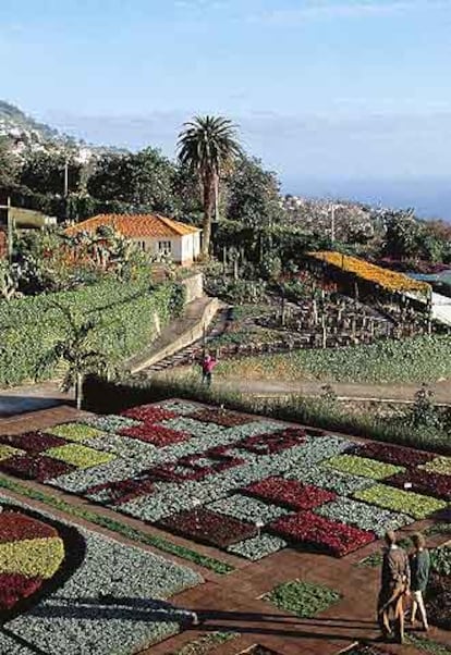 Jardín botánico de Funchal, capital de la isla de Madeira (Portugal).