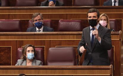 El líder del PP, Pablo Casado, interviene en la sesión de control al Gobierno en el Congreso, este miércoles.