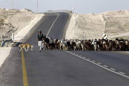 Un pastor palestino cruza un camino con sus cabras en el valle de Jordán, cerca de la ciudad de Jericó (Cisjordania).