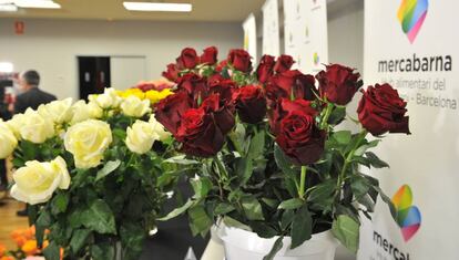 La rosa de la varietat Explorer és una de les novetats d’enguany.