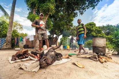 Manhiça es un municipio rural y pobre, en el sur de Mozambique.