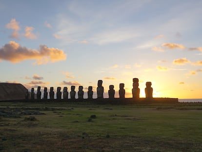 Los creadores de los moáis de la Isla de Pascua eran hasta ahora los principales candidatos del contacto entre polinesios y americanos.