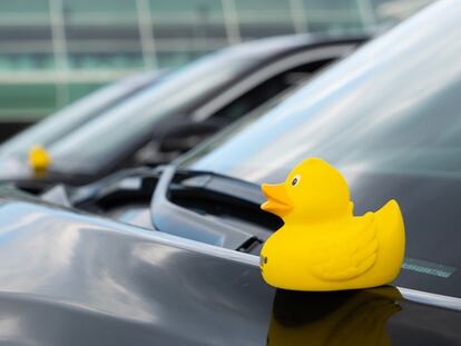 Rubber ducks have been a common sight on vehicles since the Covid pandemic, when a Canadian woman got the ball rolling.