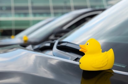 Rubber ducks have been a common sight on vehicles since the Covid pandemic, when a Canadian woman got the ball rolling.