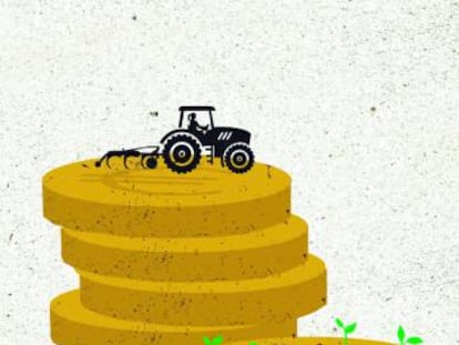 La agricultura española y el salario mínimo