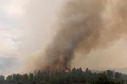 Vista del incendio sobre los bosques de Xerta, Tarragona, este martes.