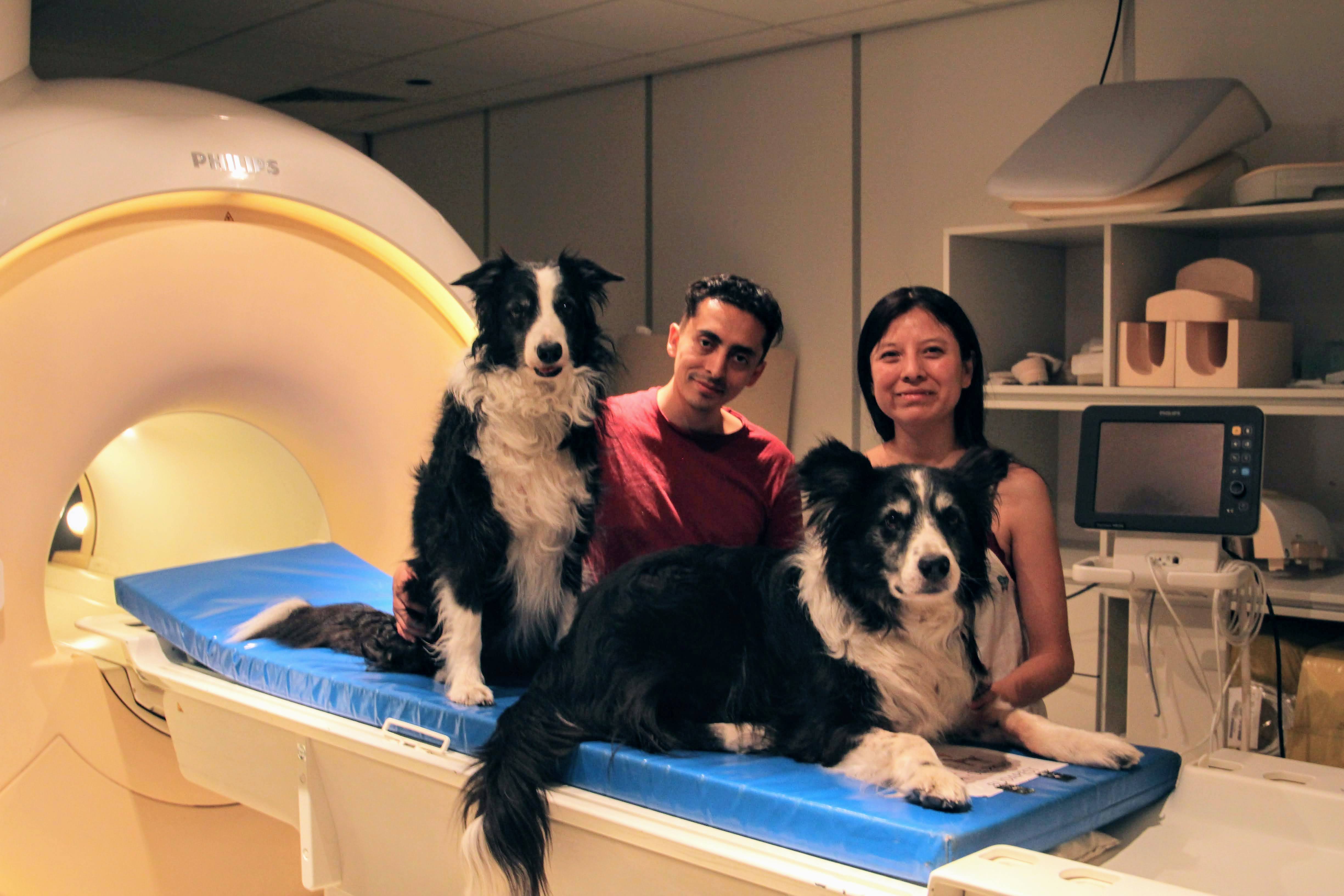 Odin y Kun-Kun, dos de los perros que participaron en el estudio, junto con los investigadores Laura Cuaya y Raúl Hernández-Pérez.