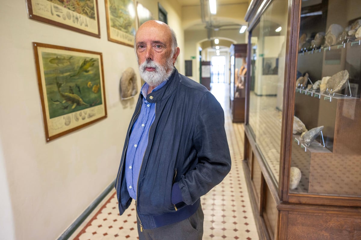 Gaza tras el conflicto: reconstrucción, memoria y justicia en una encrucijada histórica