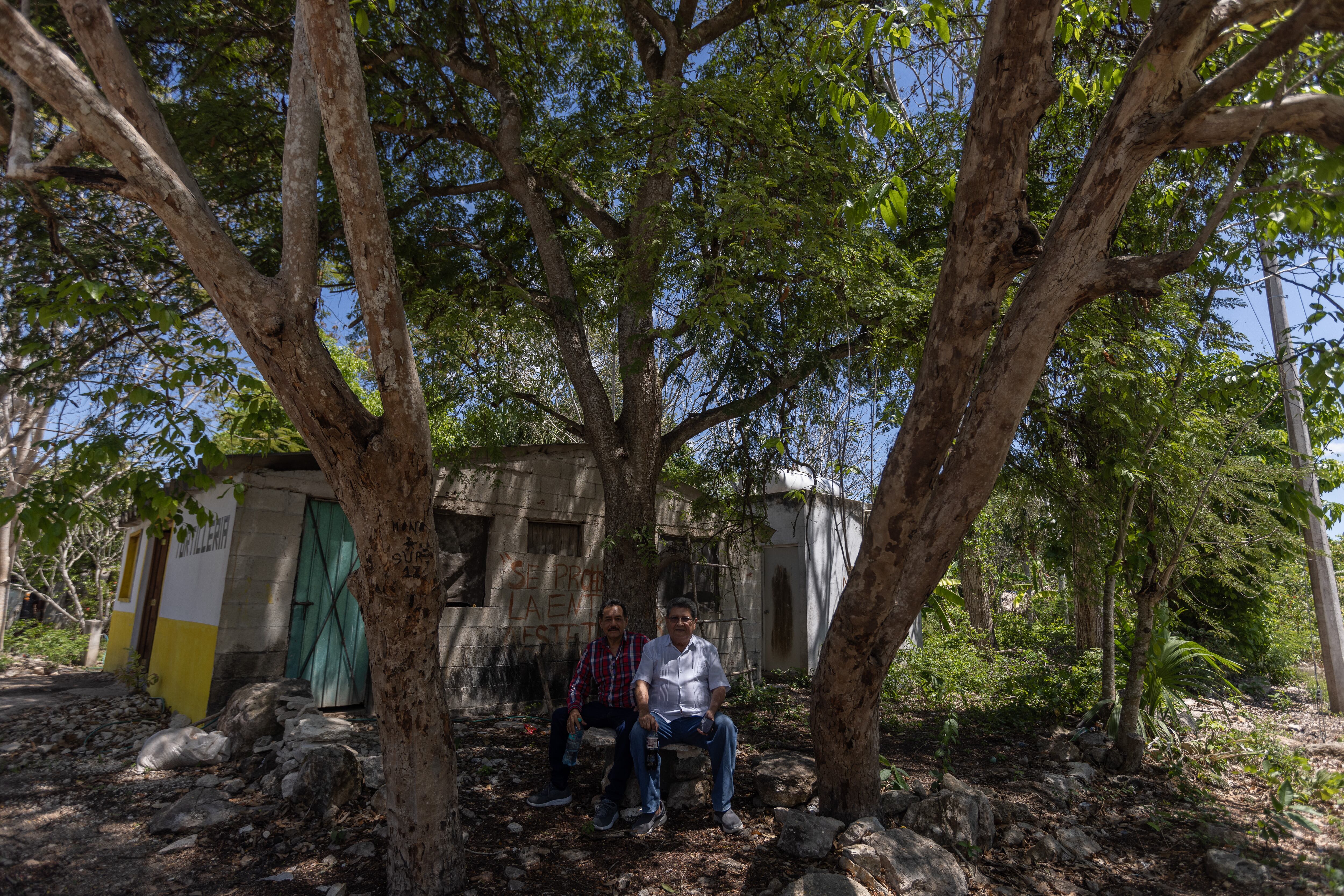 Put, la coordenada en mitad de la selva que decidirá el mapa de la península de Yucatán
