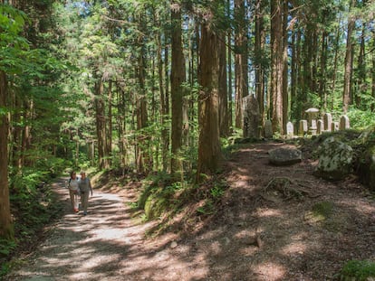 Senderos en la ruta Nakasendo.