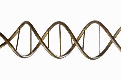 <p>Las cartas que nos da la naturaleza condicionan, pero no determinan. Así que si cree que su barriga no acaba de desaparecer por una cuestión genética, piénselo de nuevo.</p> <p>Son muchas las personas que han desmontado este mito, como el septacampeón del mundo de triatlón, Javier Gómez Noya, que tiene una valvulopatía aórtica congénita. Por eso, <a href="https://elpais.com/deportes/2015/09/20/actualidad/1442759817_263201.html" target="_blank">muchos creyeron que jamás llegaría a nada en el deporte</a>, incluso le retiraron la licencia federativa. sin embargo, el tesón, muchas horas de entrenamiento y cabeza consiguieron que demostrara al mundo que es posible superarse y conseguirlo. El esfuerzo es fundamental y lo vemos en otros ejemplos como el del modelo <a href="https://elpais.com/elpais/2018/02/20/icon/1519121347_889563.html" target="_blank">Gwilym Pugh</a>, que cambió su dieta, empezó a hacer ejercicio y hoy gasta 45 kilos menos, tableta de abdominales y se codea con la gente guapa.</p> <p>La revista <em>International Journal of Sports Medicine</em> publicaba un estudio donde 16 gemelos idénticos se sometían al mismo plan de entrenamiento. Los resultados revelaron que <a href="https://www.ncbi.nlm.nih.gov/m/pubmed/12402177/" rel="nofollow" target="_blank">el daño muscular inducido por ejercicios excéntricos variaba entre los hermanos</a>, desmontando así la idea del condicionamiento genético. ¿Quiere abdominales? Trabájelos.</p> <p>"<strong>Todos tenemos abdominales. Para que salgan solo hay que eliminar la grasa que los recubre</strong>. Y eso implica comer mejor. Y no limitarse a un solo tipo de ejercicio. Hay que ampliar el arco de movimientos para movilizar, estabilizar, contraer y poner en funcionamiento toda la musculatura", explica Antonio López, director de <a href="https://www.saludando.es/%20" rel="nofollow" target="_blank">Saludando</a>. De genética nada. Sudor y plato. Y si no lo ha conseguido hasta ahora podría ser porque no está haciendo la variedad de ejercicios adecuados.</p>