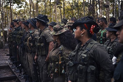 Parte de la guerrillerada del Bloque Sur, durante la formación diaria.