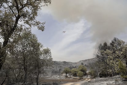 Una hidronave intenta sofocar en incendio en la zona de Artesa de Segre (Lleida)