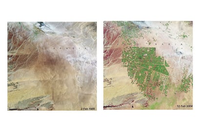 arabia saud 'Flores' del desierto
Regin de Wadi As-Sirhan, en Arabia Saud. Un acufero de unos 20.000 a?os devuelve la vida a una regin desrtica.
Rica en petrleo, pero pobre en recursos hdricos, Arabia Saud est utilizando los beneficios procedentes del oro negro para adquirir las mejores tecnologas disponibles para cultivar en ambientes ridos. El sistema de regado en la regin de Wadi As-Sirhan extrae agua de un acufero de 20.000 a?os. La explotacin de los recursos hdricos subterrneos ha ayudado aqu a mejorar la produccin sin deterioro aparente del medio ambiente. Pero se calcula que el acufero estar agotado en 50 a?os.