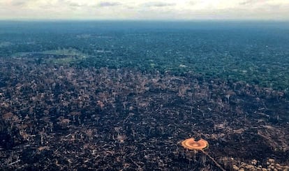 Tierra quemada en la Amazonia de Colombia, en una imagen de febrero de este año.