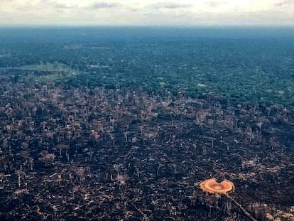 Tierra quemada en la Amazonia de Colombia, en una imagen de febrero de este año.