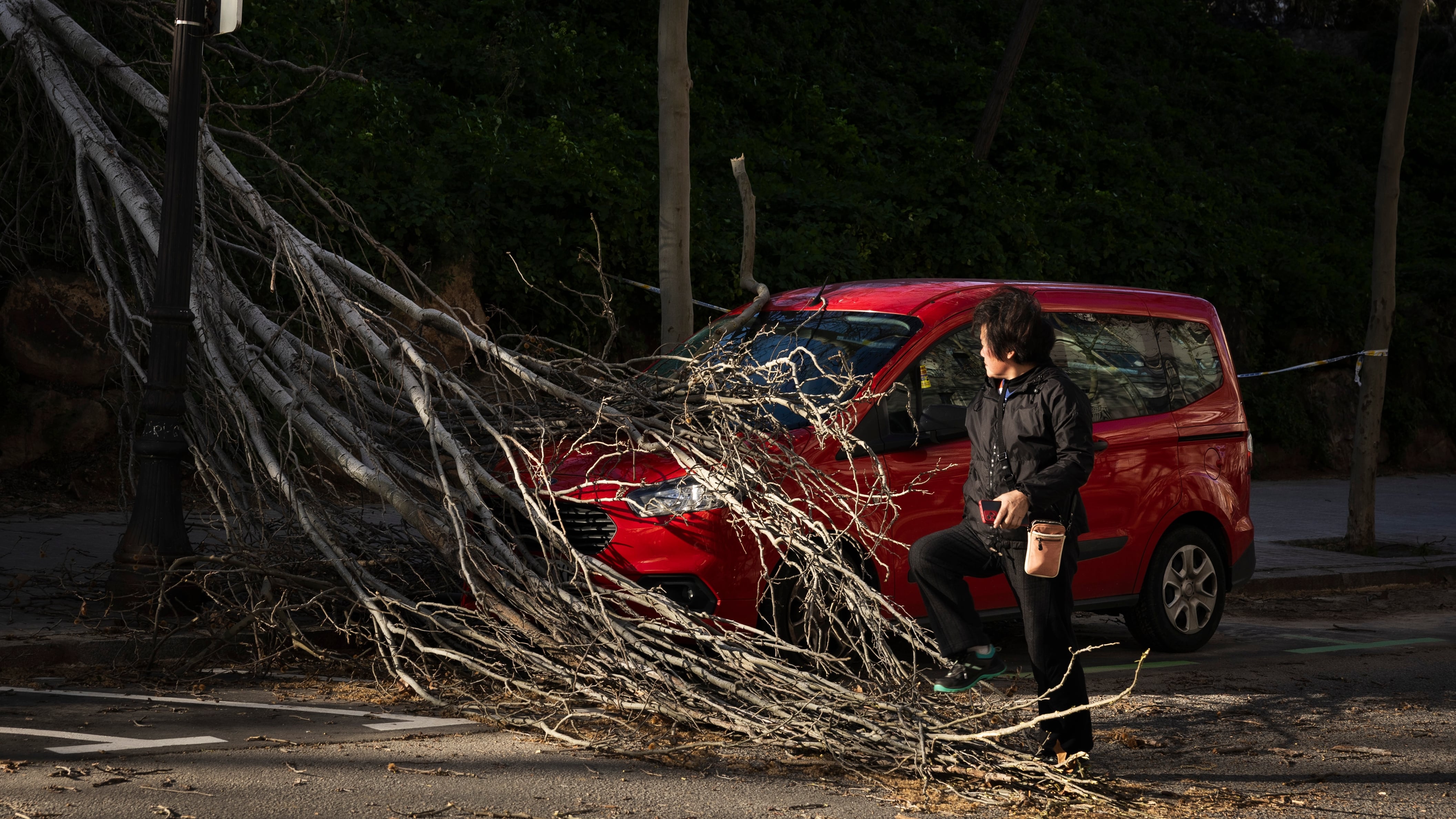 El Paseo de la Exposición en Montjuic, esta mañana.