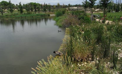 Parque de La Marjal, en Alicante.