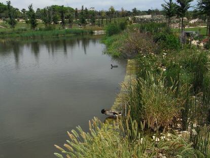 Parque de La Marjal, en Alicante.