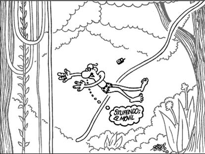 FORGES