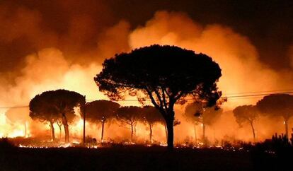 The blaze burns near Moguer (Huelva) on Sunday night.