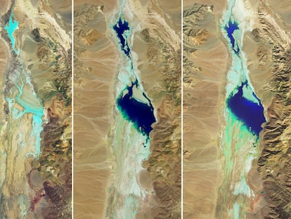 Satellite images provided by NASA show the evolution of Lake Manly from July 2023 until February 14.