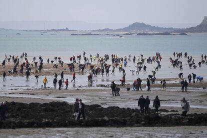 Decenas de personas aprovechan la marea baja, también récord, para mariscar en la playa de Saint-Malo, Francia.