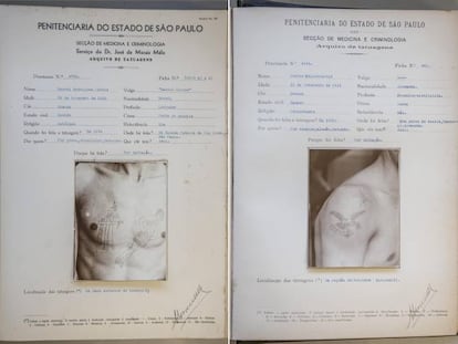 Cada una de las fotografías quedó depositada con una ficha que documenta los datos personales del preso, el delito por el que fue condenado y si era reincidente, y los del dibujo: quién lo hizo, cuándo, dónde, de qué color es, qué muestra, y en qué parte del cuerpo está ubicado.