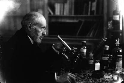 El investigador Santiago Ram&oacute;n y Cajal, en su laboratorio.