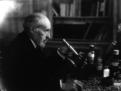 El investigador Santiago Ram&oacute;n y Cajal, en su laboratorio.