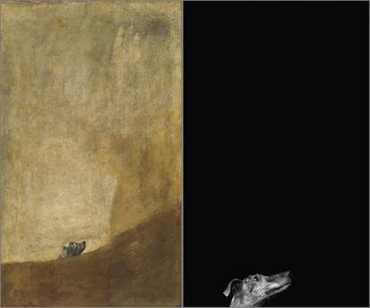 'Perro semihundido', de Goya, le sirve al artista para replantearse el futuro cruel de los galgos que no rinden como esperan sus amos cazadores.