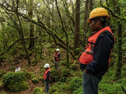 Habitantes de Santa María Jaltianguis, Estado de Oaxaca (México) recorren su bosque, parte de un programa de bonos de carbono.