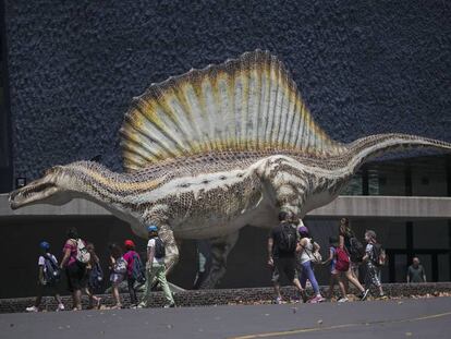 La exposición Spinosaurus, el gigante perdido del cretácico.