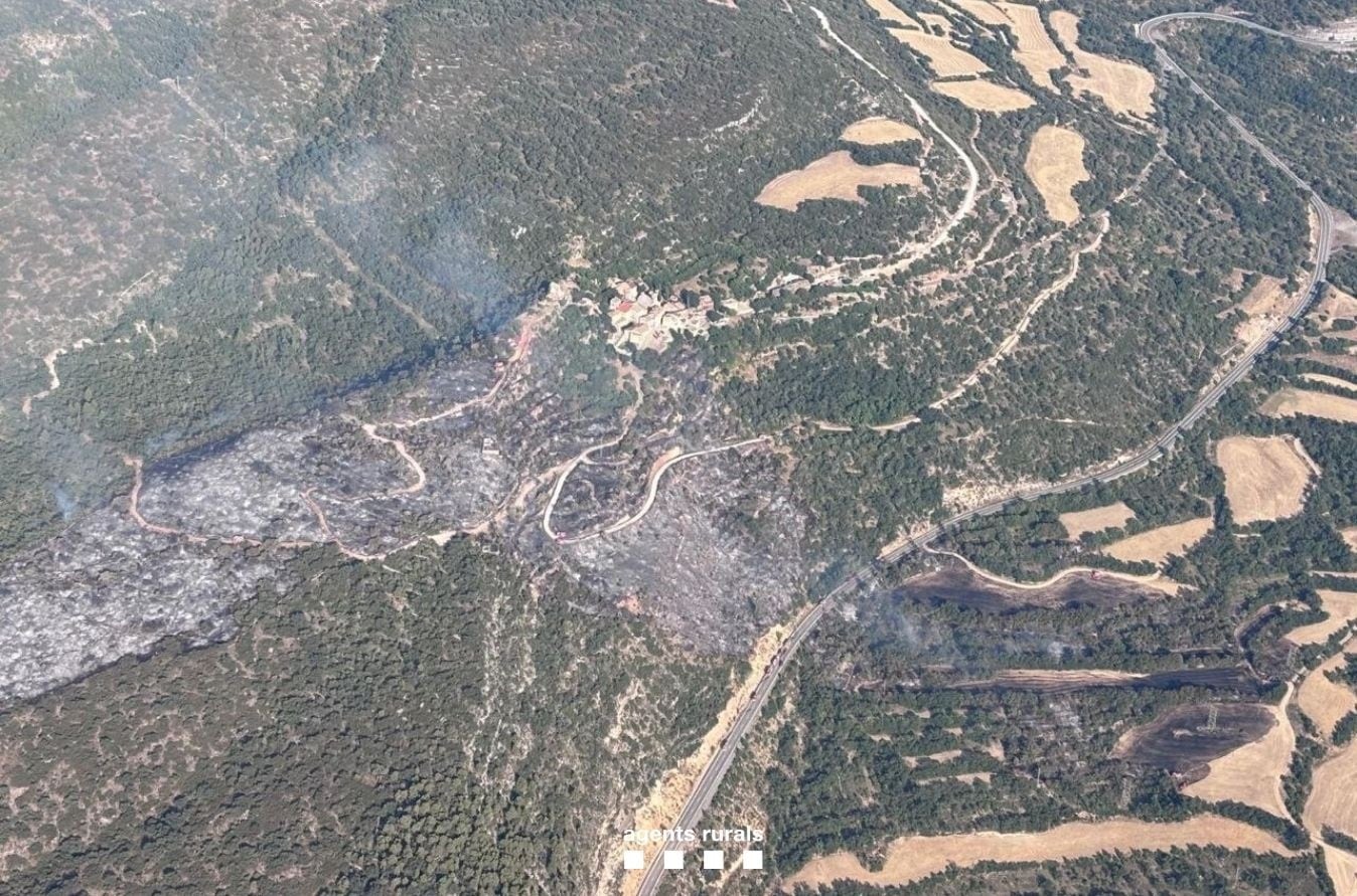 Estabilizado el incendio de Camarasa después de afectar a unas 21,8 hectáreas