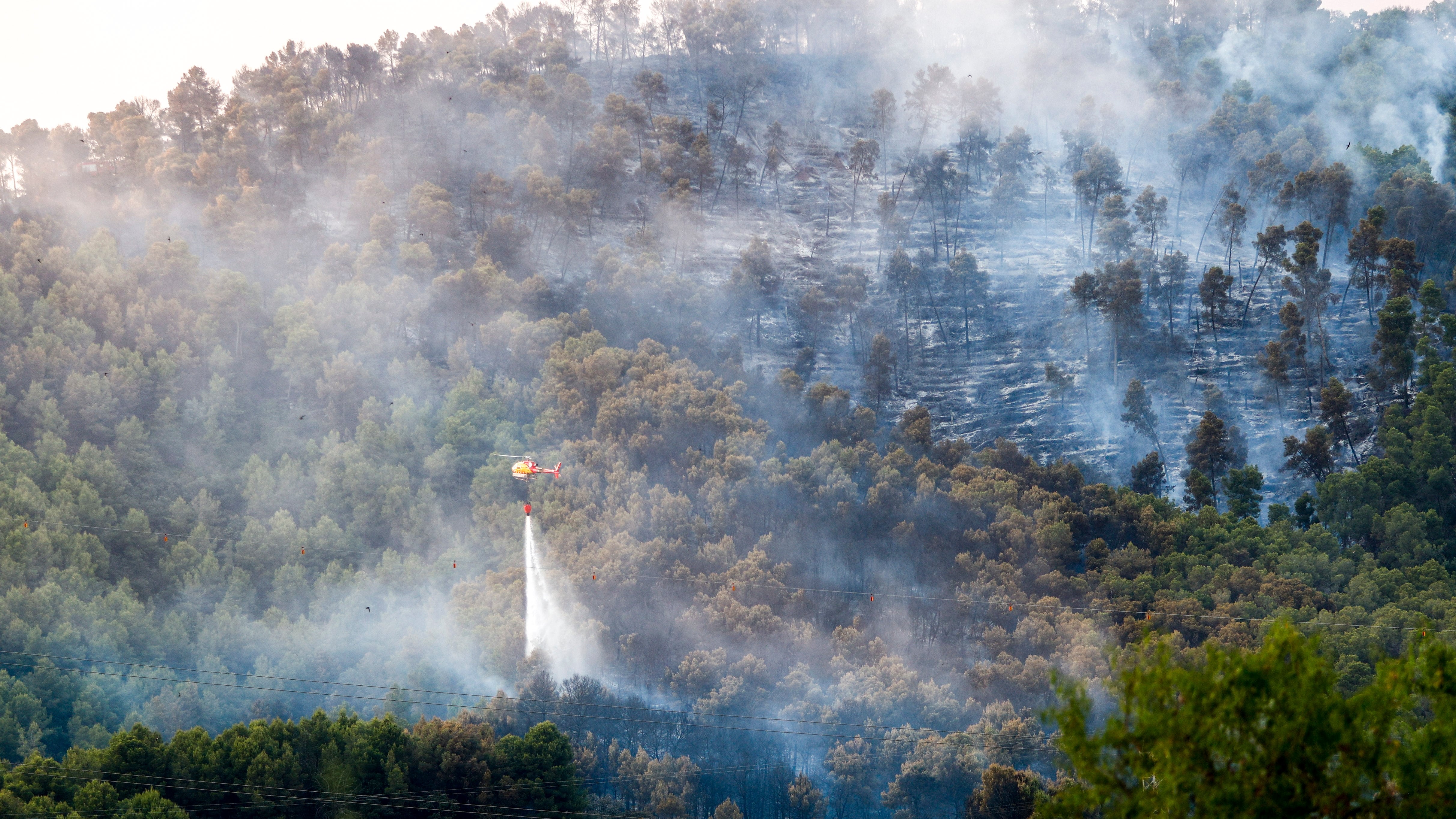 Los Bomberos de la Generalitat compran de urgencia 1.500 mangueras en plena campaña forestal