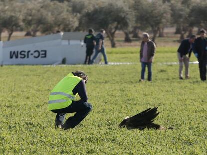 Un agente observa los restos del ave contra la que pudo chocar la avioneta. 