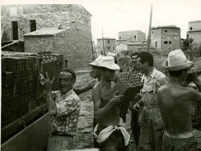 Universitarios, en una construcción de viviendas en Bañolas (Girona), en 1961.