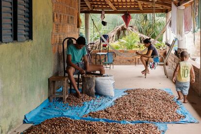 En casa de Ivonete se procesan las semillas del coco babasú. De ellas se obtiene aceite y jabón, entre otros derivados. Toda la familia de la quebradeira trabaja en la producción.