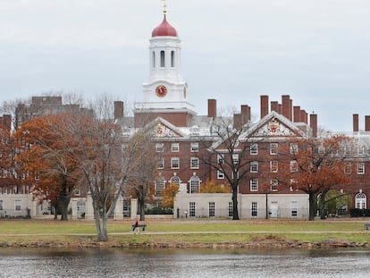 El campus de la Universidad de Harvard en Cambridge, Massachusetts, en una imagen de archivo.