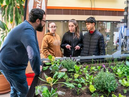 El profesor de botánica aplicada del IES Humanes de Madrid explica a los alumnos Elena Gómez, Nora Ferrero y Lorenzo Serrano el funcionamiento del robot agricultor instalado en el centro.