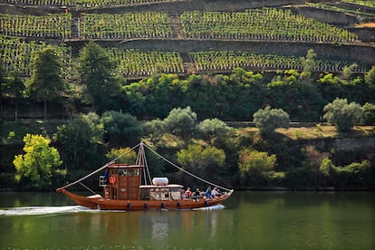 Región Alto Duero